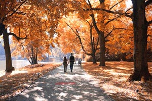 魏牌蓝山焕新版上市，魏总自掏腰包补贴8万？